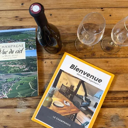 Le Champenois-appartement Près De L' Avenue De Champagne Appartamento Épernay
