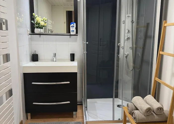 Le Champenois-appartement Pres De L' Avenue De Champagne *