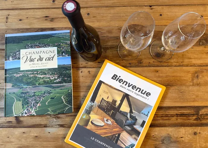 Le Champenois-appartement Pres De L' Avenue De Champagne Apartmán Épernay